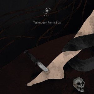 Fururefunk (Pandorum Remix)