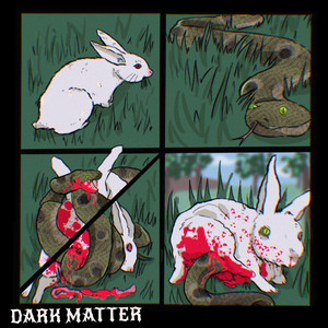 Dark Matter (Explicit)