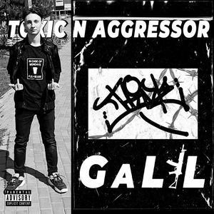 Toxic N Aggressor (Explicit)