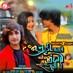Janudi Parne Mari Jindgi Ahithi Puri Re (Remix)