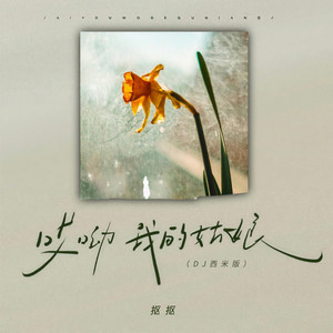 哎呦我的姑娘 (DJ西米版)