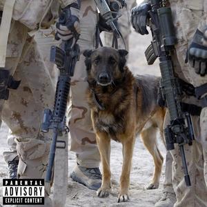 fight like a dog (Explicit)