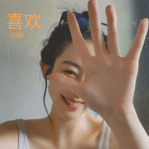 喜欢 (刘畅 remix)