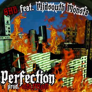 Perfection (feat. LegendarySaiyanJ, Tha Slaughterhouse Brothers & Midsouth Monsta) (Explicit)