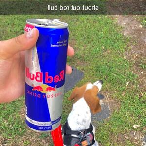 shout-out redbull (Explicit)