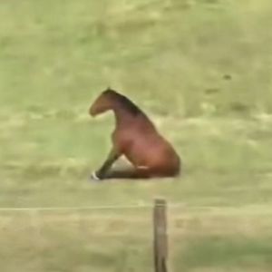 i wish that the earth was smnaller