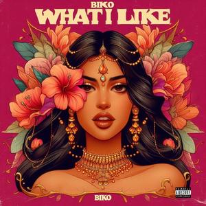 What I Like (Explicit)