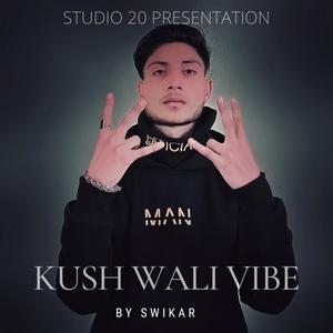 Kush Wali Vibe (Explicit)