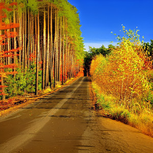 纯音乐 - 一步成诗（ppt背景音乐纯音乐）