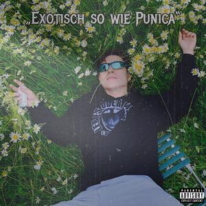 Exotisch so wie Punica