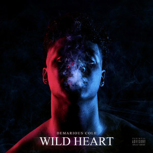 Wild Heart (Explicit)