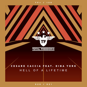 Hell Of A Lifetime (Extended Mix)