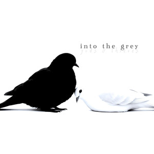 Into the Grey