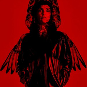 De droles d’oiseaux