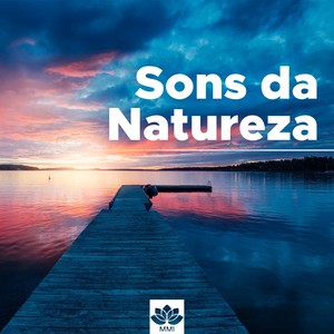 Sons da Natureza para Meditar, Pilates, Yoga e Massagem