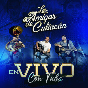 Felíx Gallardo(En Vivo)