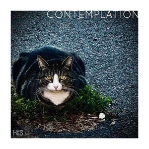 Contemplation
