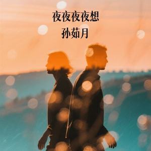 夜夜夜夜想