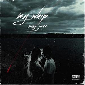 MY WHIP (Explicit)