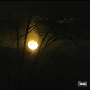 LIKE THE SUN (Explicit)