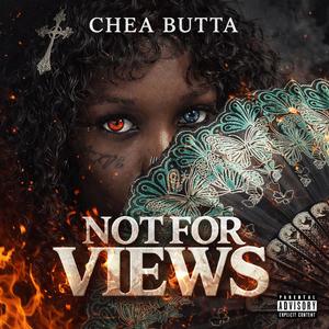 Not For Views (Explicit)