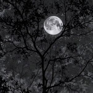 ยังคิดถึง