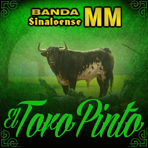 El Toro Pinto (Banda Instrumental)