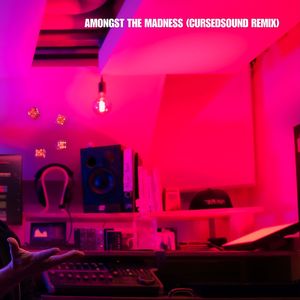 Amongst the Madness (Cursedsound Remix)