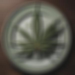 Daglig rutin (Explicit)