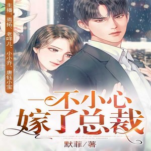 一不小心嫁了总裁|替身|追妻火葬场