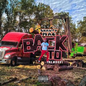 Back to the woods (Explicit)