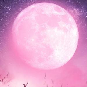 I Could Really (Explicit)