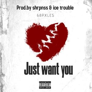 Just Want You (Explicit)
