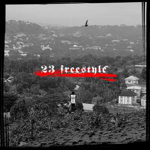 23 (freestyle) - 23 (freestyle)