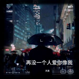 再没一个人爱你像我