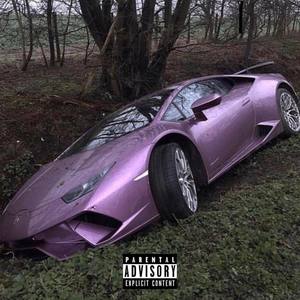 Crashed The Whip! (Sandra Soup) [Explicit]