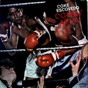 Fried Neck Bones And Home Fries (黑胶版)