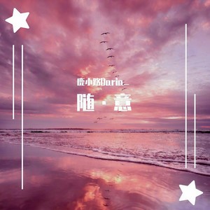 真的傻封面