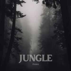 JUNGLE (Explicit)