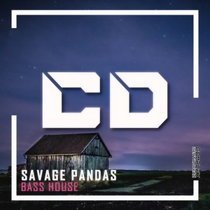 Bass House (Original Mix)