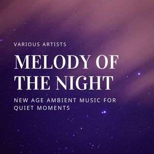 Melody of the Night: New Age Ambient Music for Quiet Moments