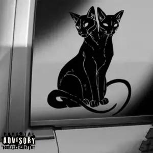 MISUNDERSTOOD (feat. 5Star Chleo) [Explicit]