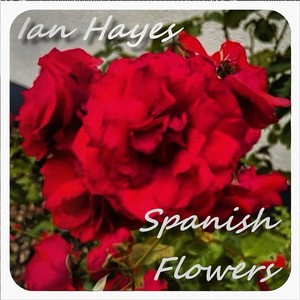 Spanish Flowers