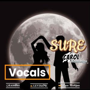 Sure (feat. levixone Lucas) (Vocals Version)