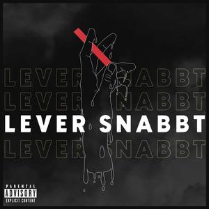 Lever snabbt