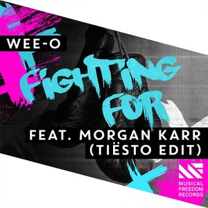 Fighting For (feat. Morgan Karr) [Tiësto Edit]