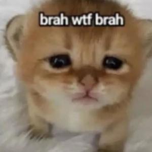 sum silly (Explicit)