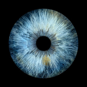 Revive (Live From Northland Pines Theater - July 20, 2023)