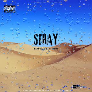 STRAY (feat. Stan Maybe) (Explicit)