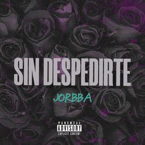 Sin Despedirte